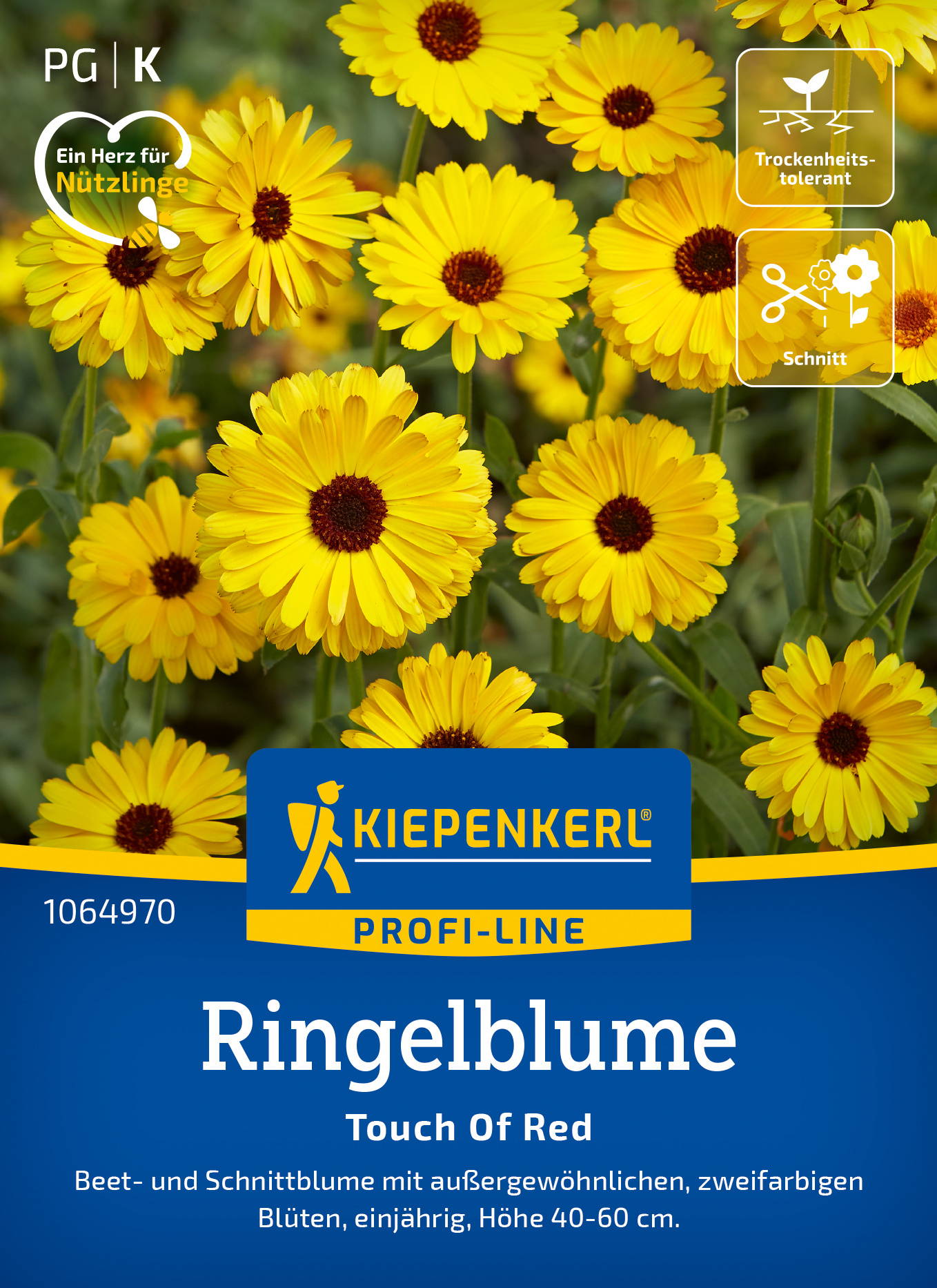 Ringelblumensamen Touch Of Red