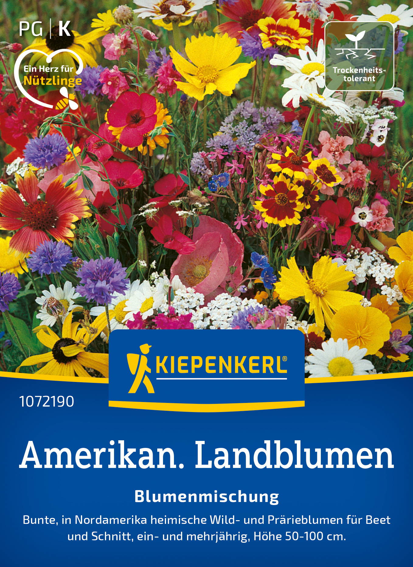 Blumensamen-Mischung Amerikanische Landblumen