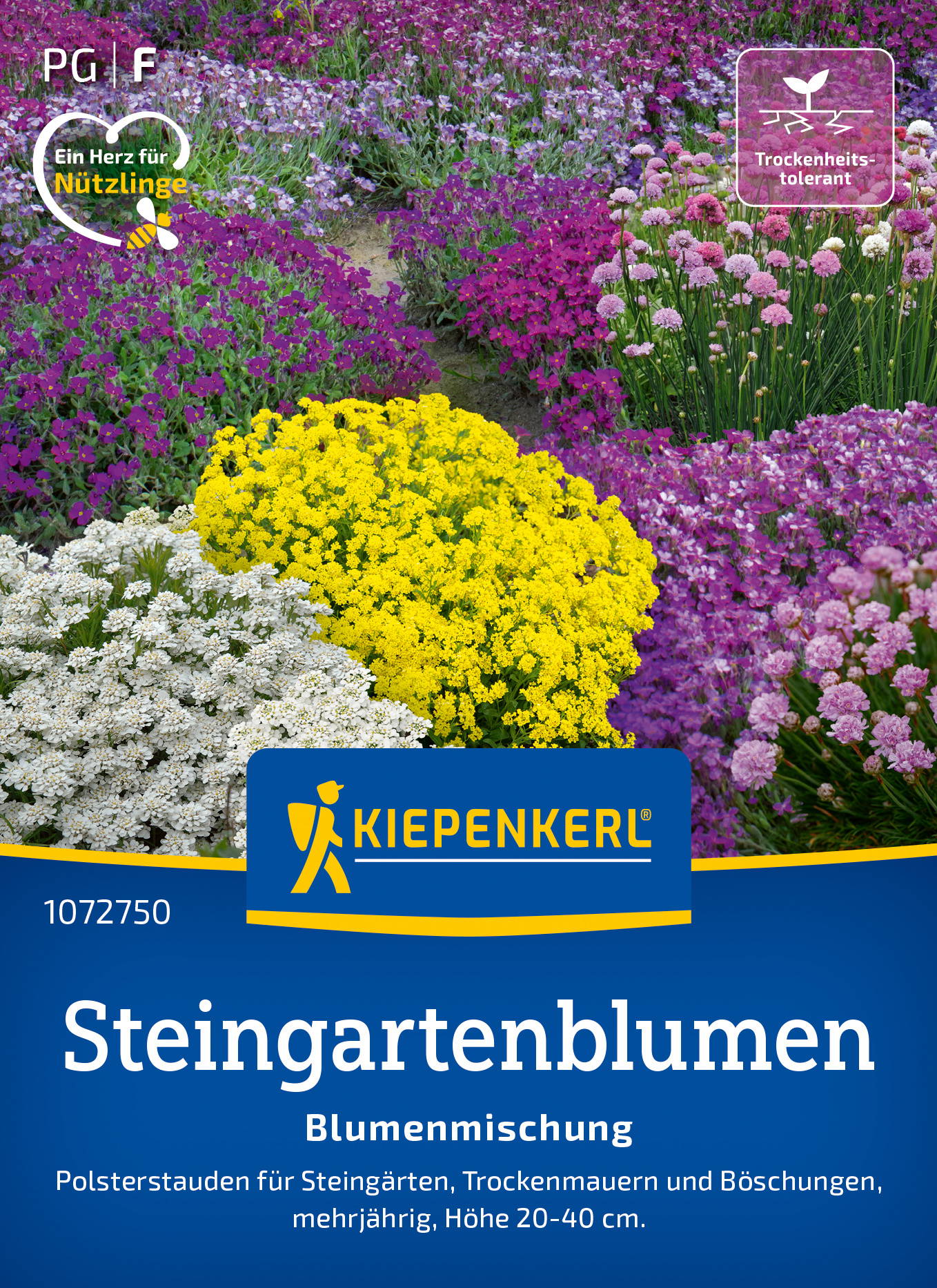 Blumensamen-Mischung Steingartenblumen