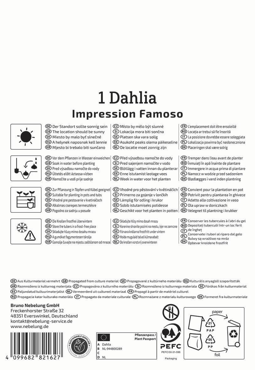 Anleitungstext zur Pflege und Nutzung eines Dahlia, mit Symbolen und mehrsprachigen Anweisungen.