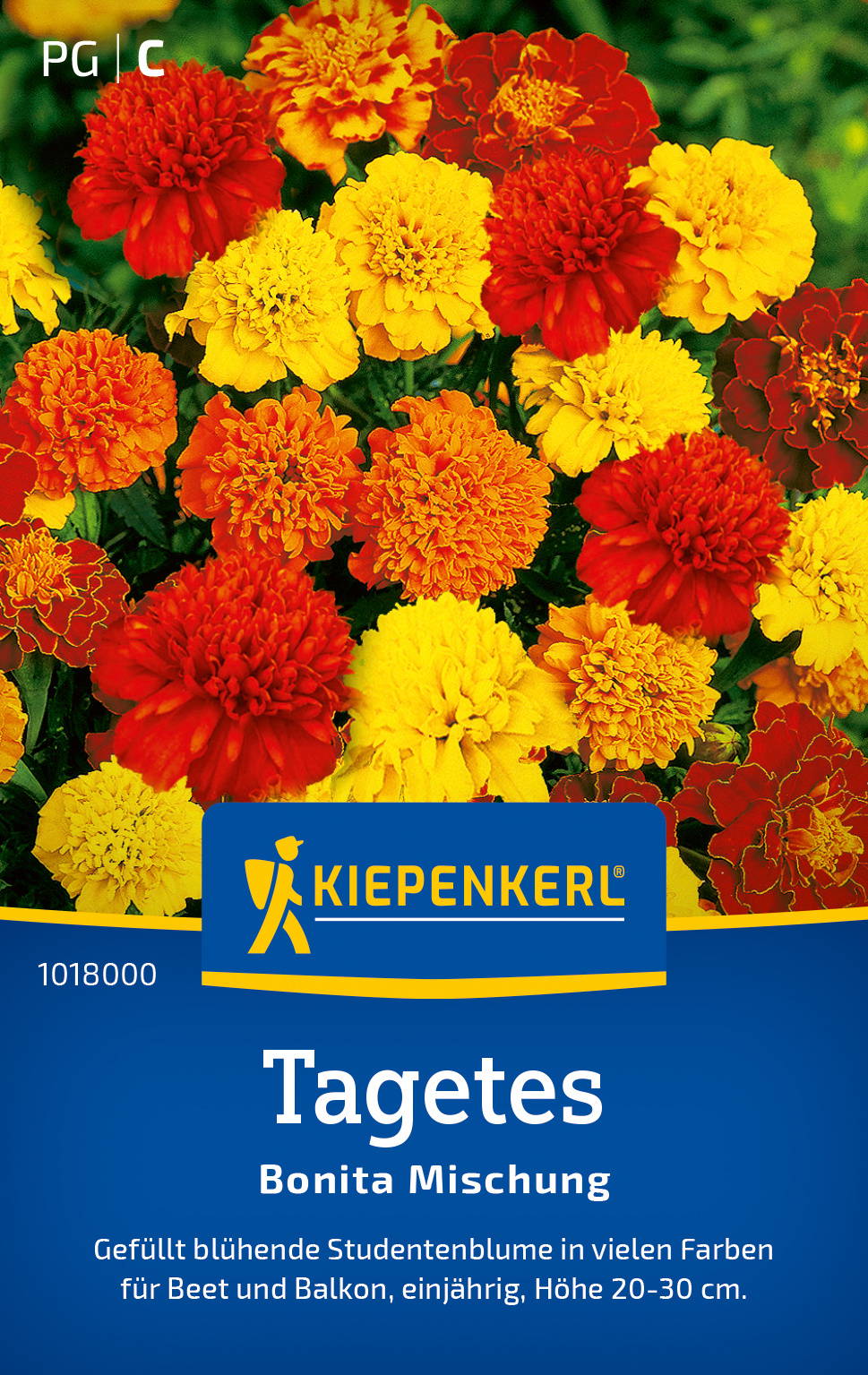 Bunte Tagetes in Gelb, Orange und Rot, auf dem Blumenpaket abgebildet.