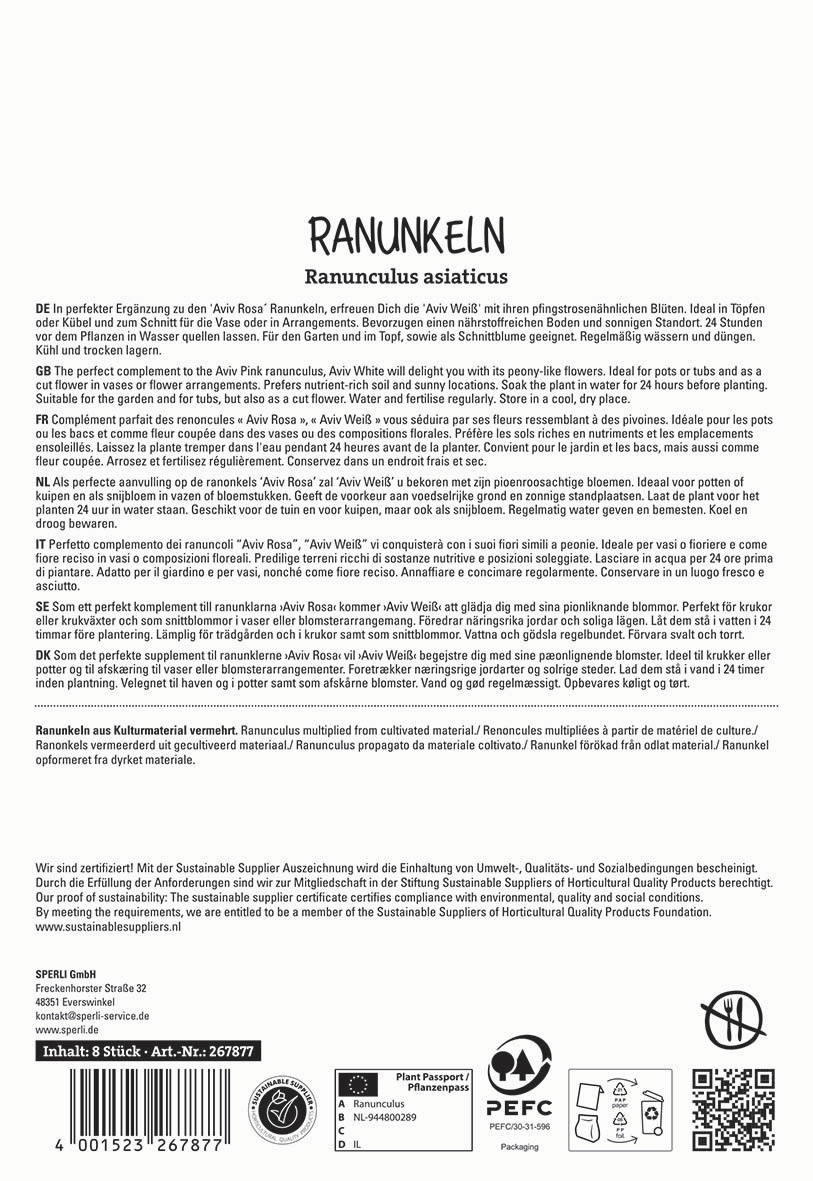 Anleitungstext für Ranunkeln, mehrsprachig, mit Pflanzinformationen und Pflegehinweisen.