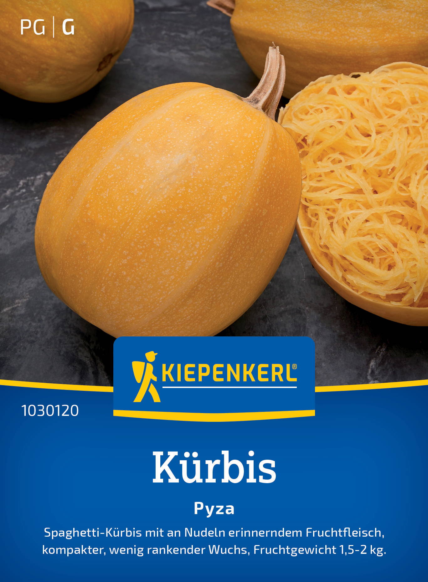 Kürbissamen Pyza