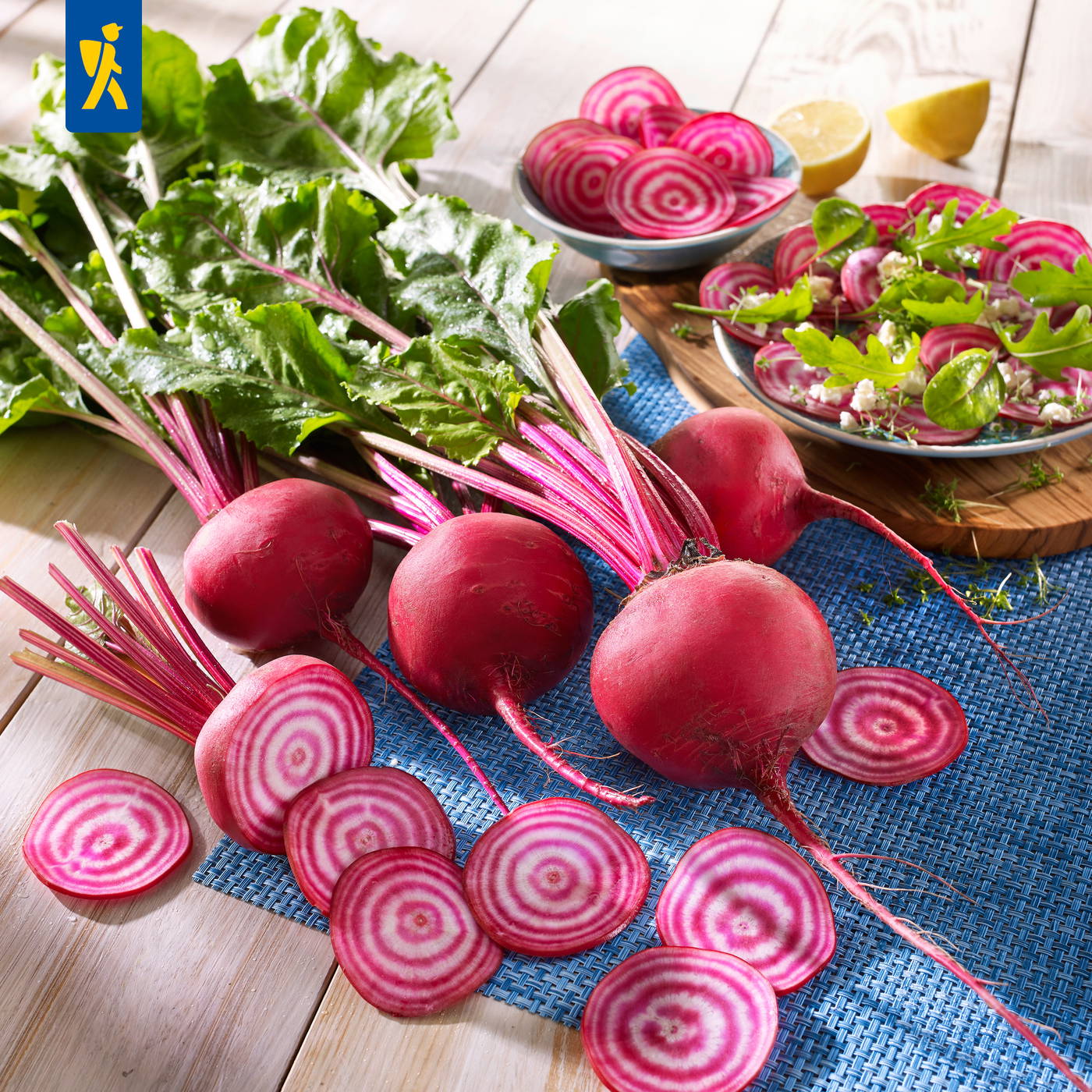 Rote Rüben mit grünen Blättern, Scheiben, eine Schale mit geschnittenen Rübenscheiben, Zitronenkeile im Hintergrund.
