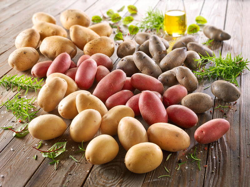 Verschiedene Sorten kleine Kartoffeln mit Kräutern und Öl auf Holztisch.