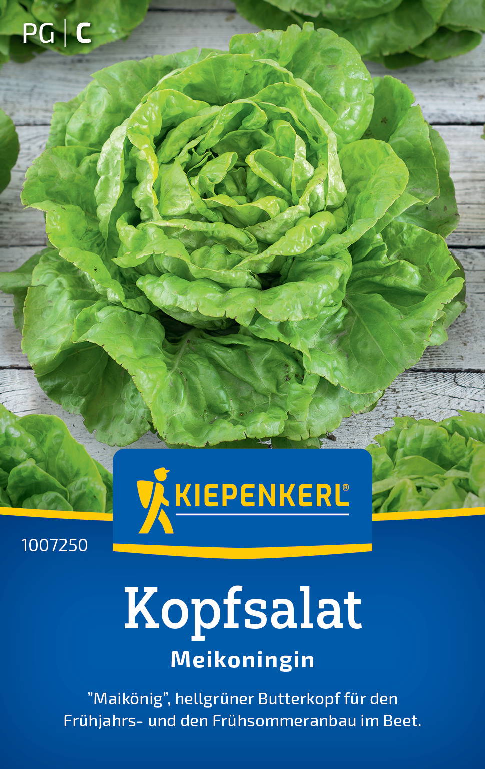 Kopfsalatsamen Meikoningin