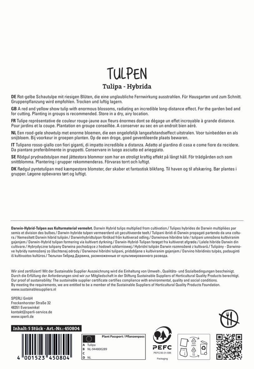 Tulpen in verschiedenen Sprachen mit Pflegetipps und Herkunft, 5 Stück, Artikelnummer 450804.