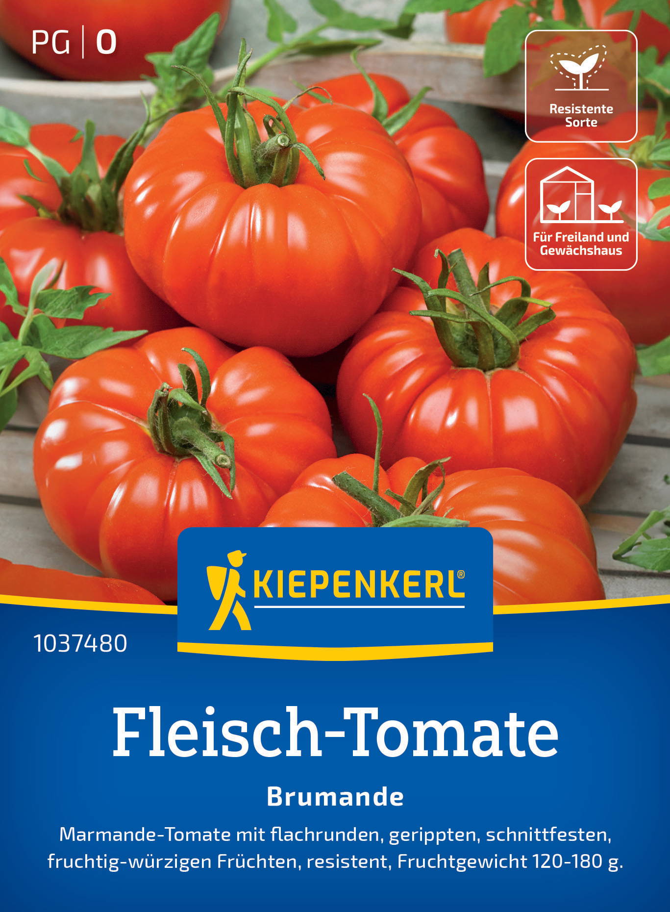 Fleisch-Tomatensamen Brumande, F1