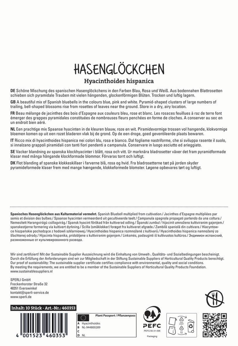 Spanisches Hasenglöckchen aus Kulturgematerial vermehrt, mit blau, rosa und weißen Blüten, Pyramidenform.