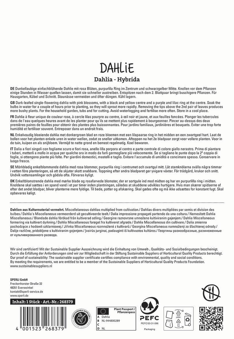 Text auf der Verpackung mit Beschreibung der Dahlie Yucca in verschiedenen Sprachen und Anbieterinformationen.