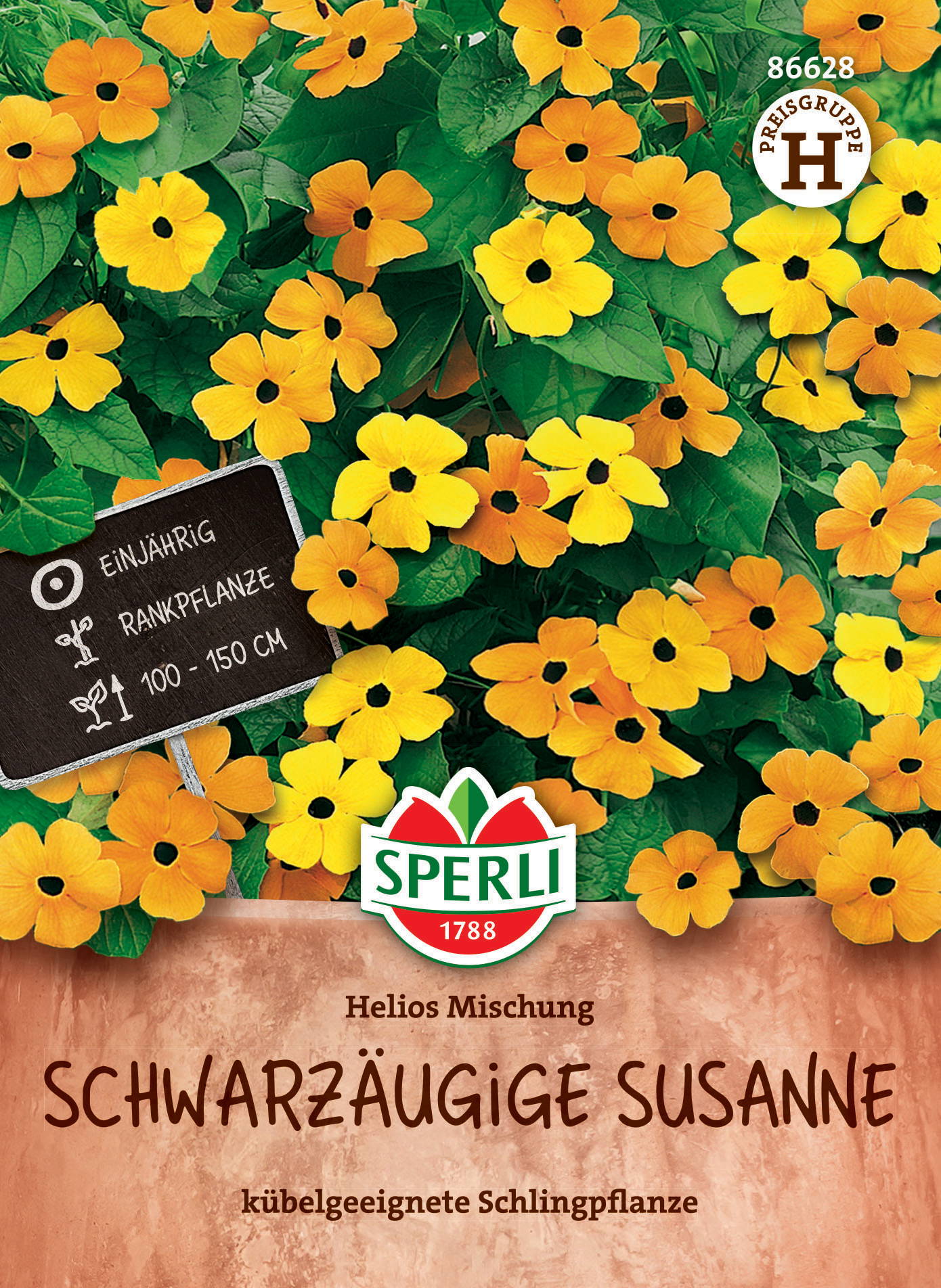 Schwarzäugige Susanne Samen Helios