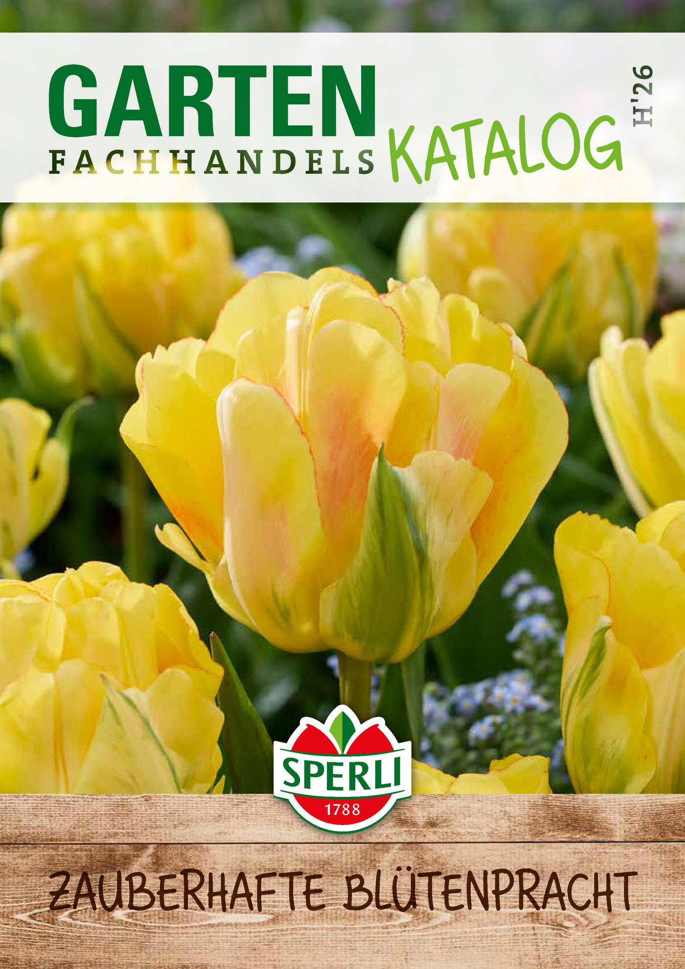 Gelbe Tulpen vor einem weißen Hintergrund mit grünem Text und einem Holzoptik-Banner mit Schwarzem Schriftzug.