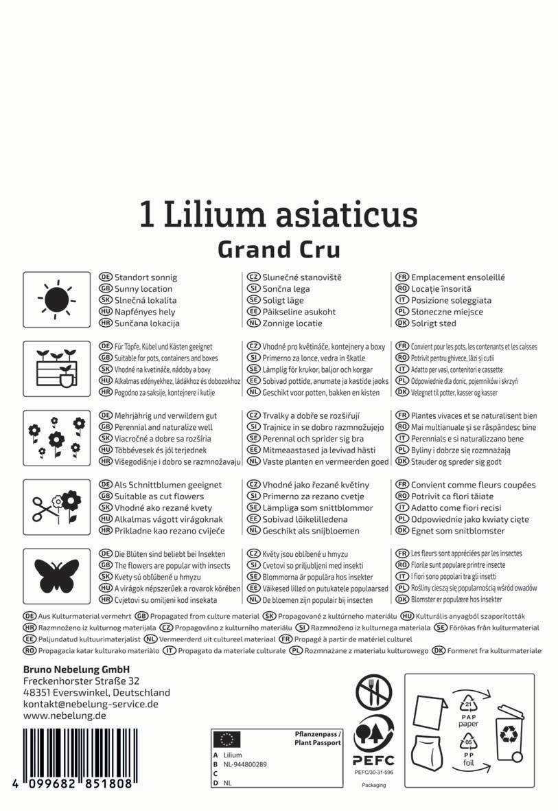 Beschriftung des Saatguts Lilum asiaticus Grand Cru, auf Verpackung steht auch Bezeichung in mehreren Sprachen.