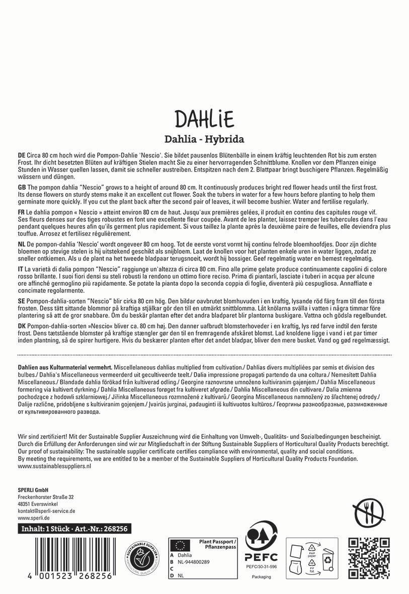 Text auf einem Pflanzenverpackungsetikett mit Beschreibungen verschiedener Dahlienarten auf Deutsch, Englisch, Niederländisch, Italienisch, Spanisch und Dänisch.