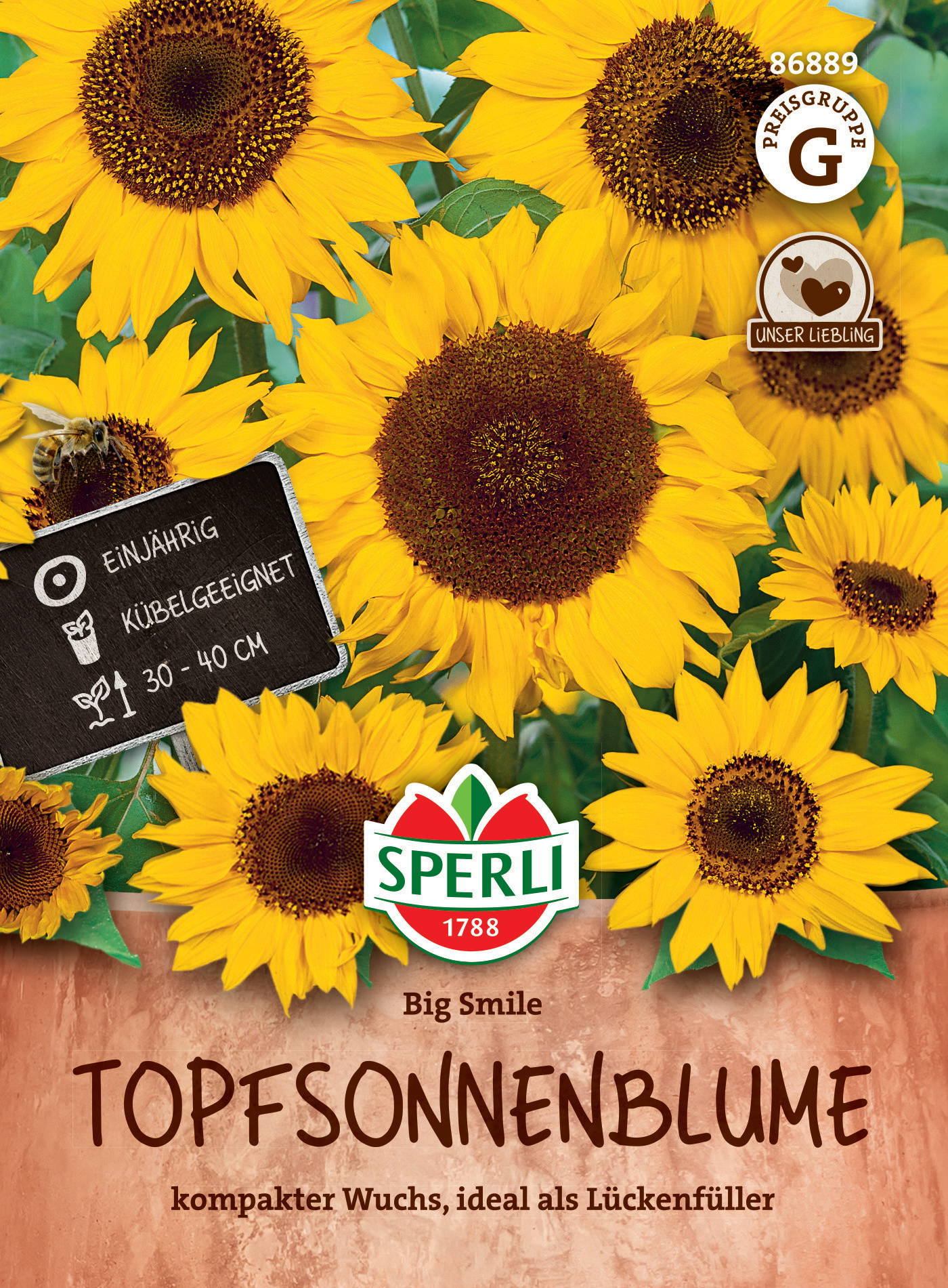 Topfsonnenblumensamen Big Smile
