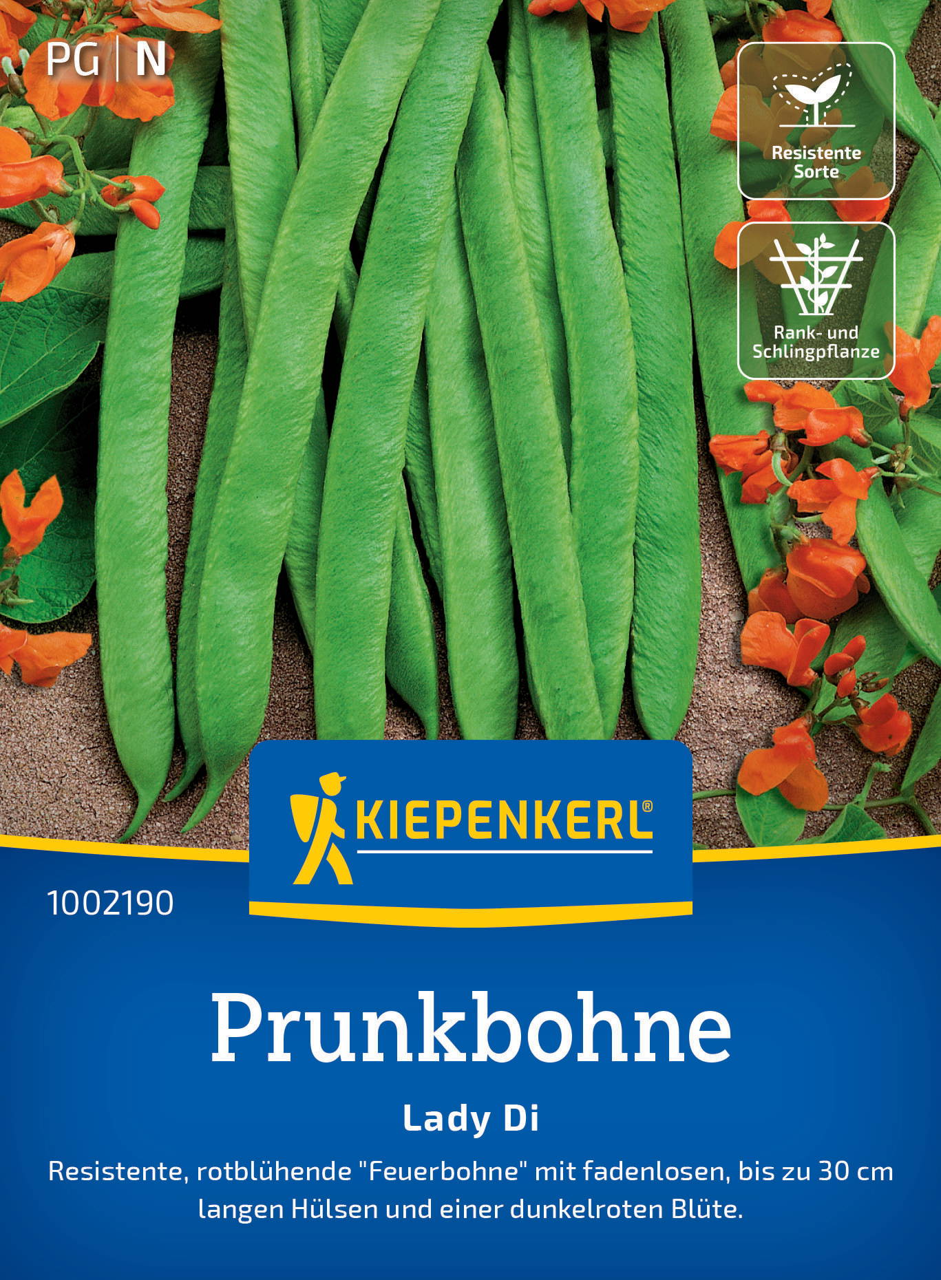 Grüne Bohnen mit orange Blüten auf Erde, Verpackungsdesign mit blauen, gelben und weißen Elementen.