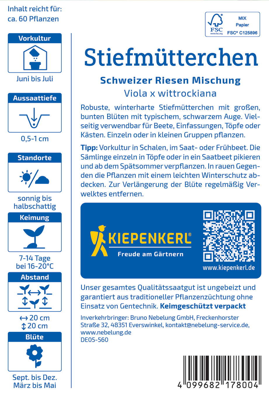 Stiefmütterchen mit großen bunten Blumen, schwarze Augen, Pflanze im Topf.