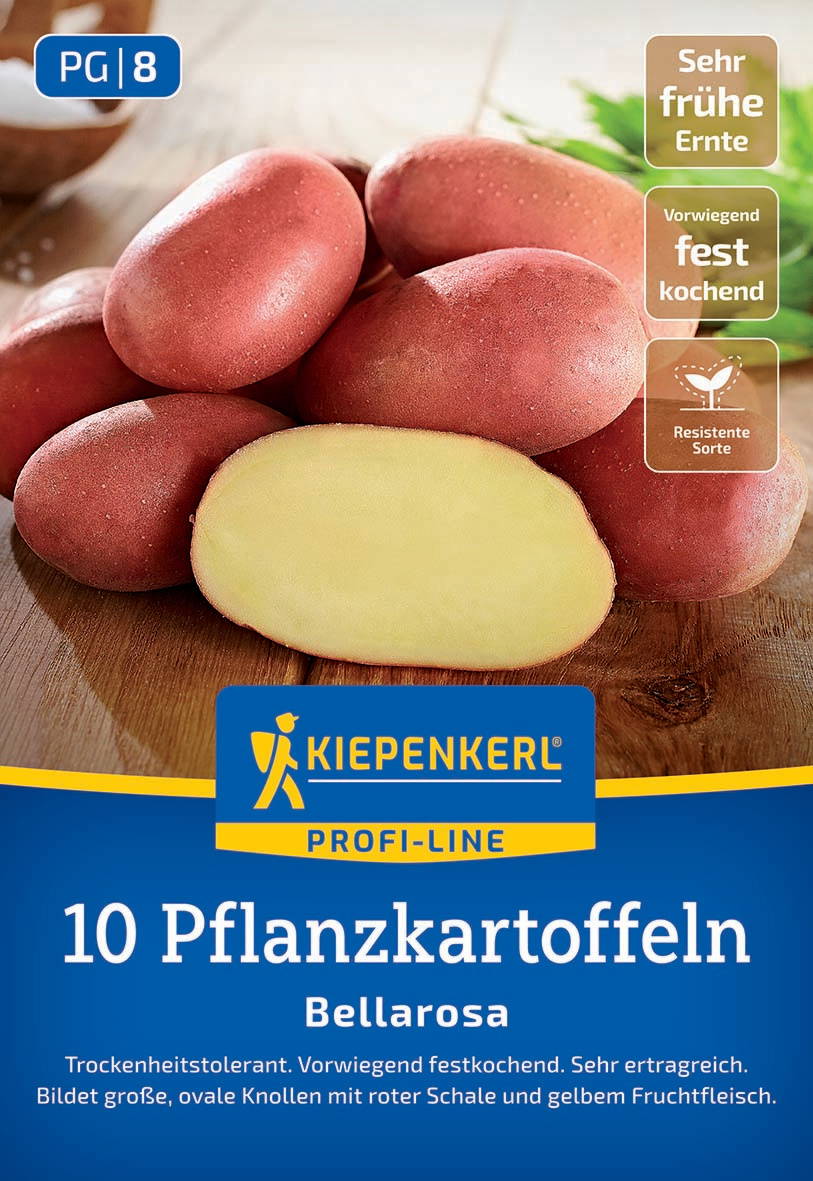Fünf rote, ovale Kartoffeln mit einer Hälfte einer geschälten Kartoffel, Kartoffeln auf Holzoberfläche.