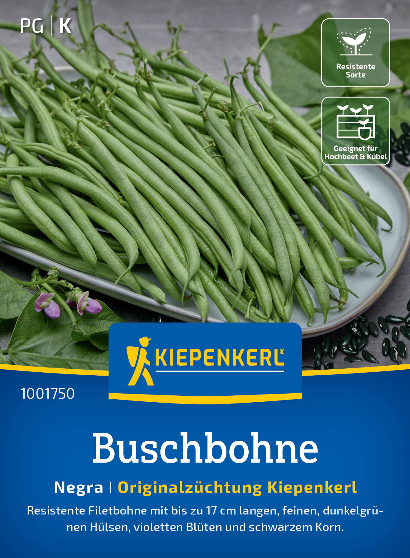 Bündel grüne Buschbohnen auf weißem Teller, zwei Logos mit Text, blühende Pflanze am unteren linken Rand.