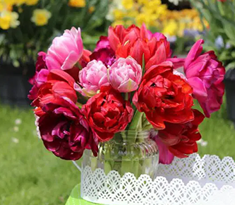 Bunte Tulpen in Glasvase auf grünem Tisch mit weißer Spitzenschale, Garten im Hintergrund.