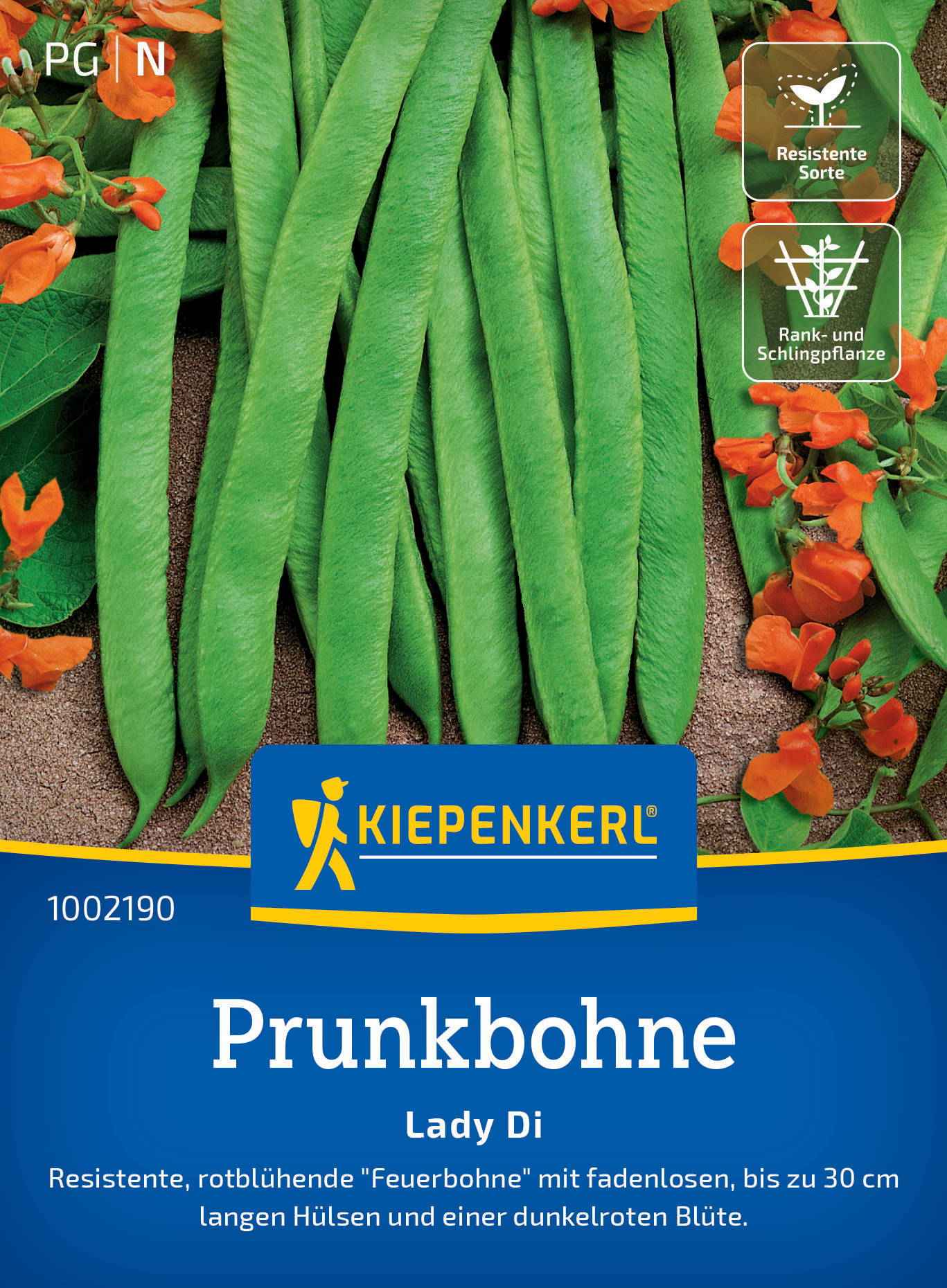 Prunkbohnensamen Lady Di