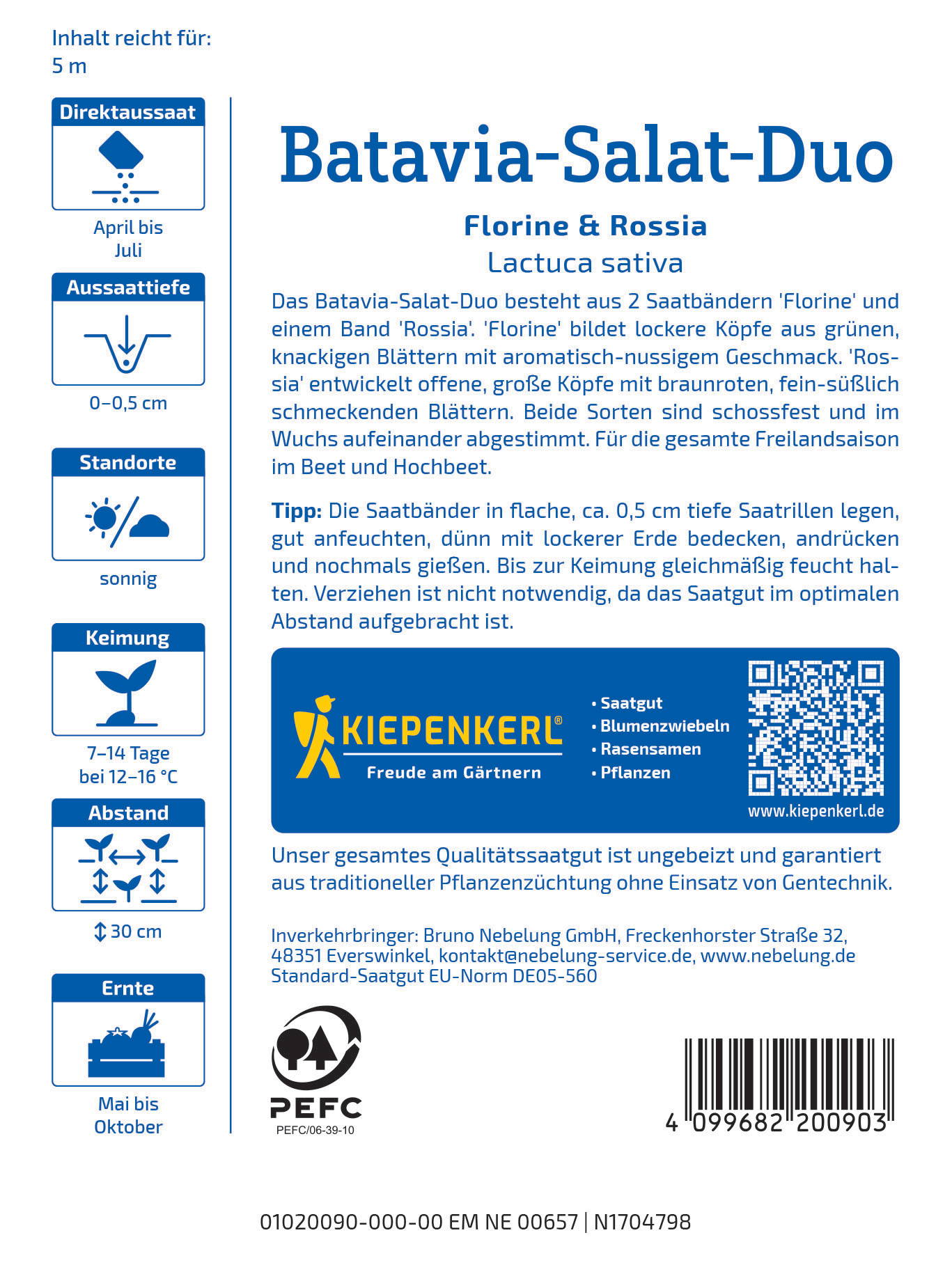 Blattform einer Samen, grüne Blätter, braune Samen, auf weißem Hintergrund.