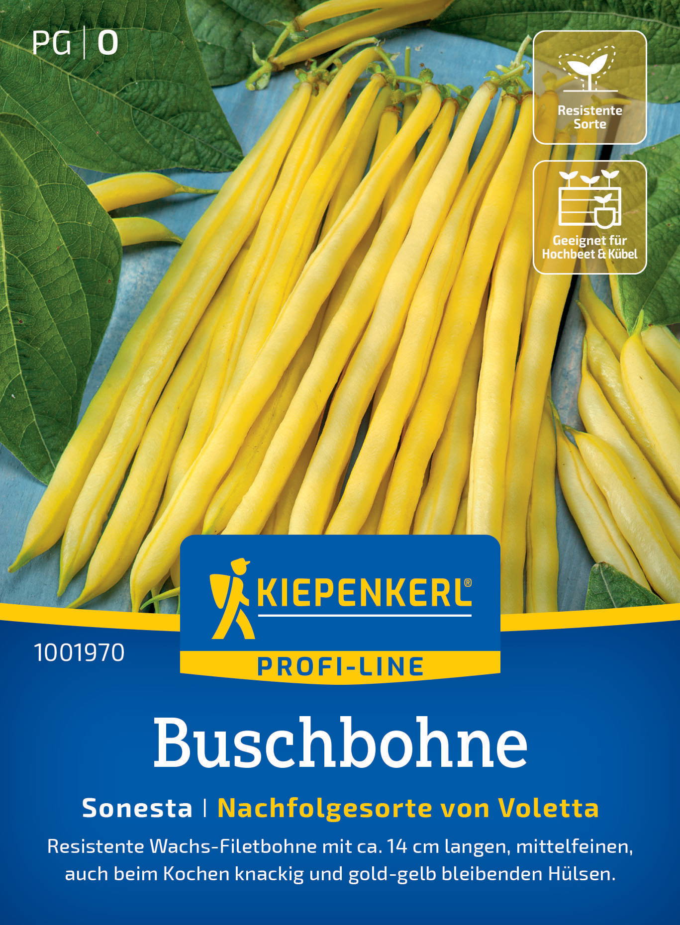 Buschbohnensamen Sonesta