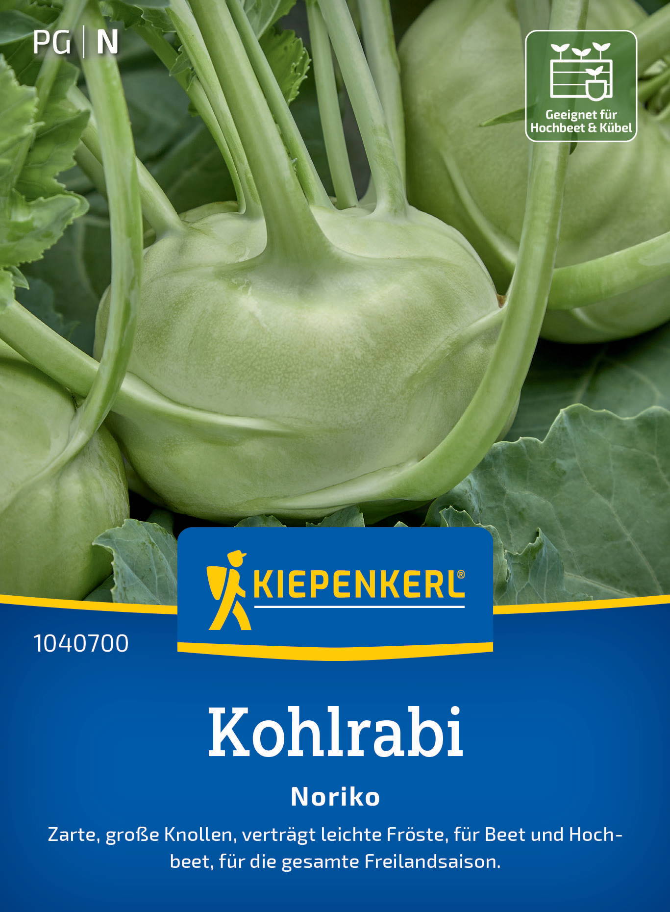 Nahaufnahme einer hellgrünen Kohlrabi mit Blattstielen, umgeben von großen Blättern.