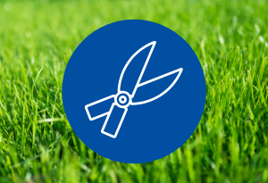 Ein blauer Kreis mit dem Symbol einer Gartenschere aussät befindet sich auf einem Hintergrund mit einer grünen Rasenwiese