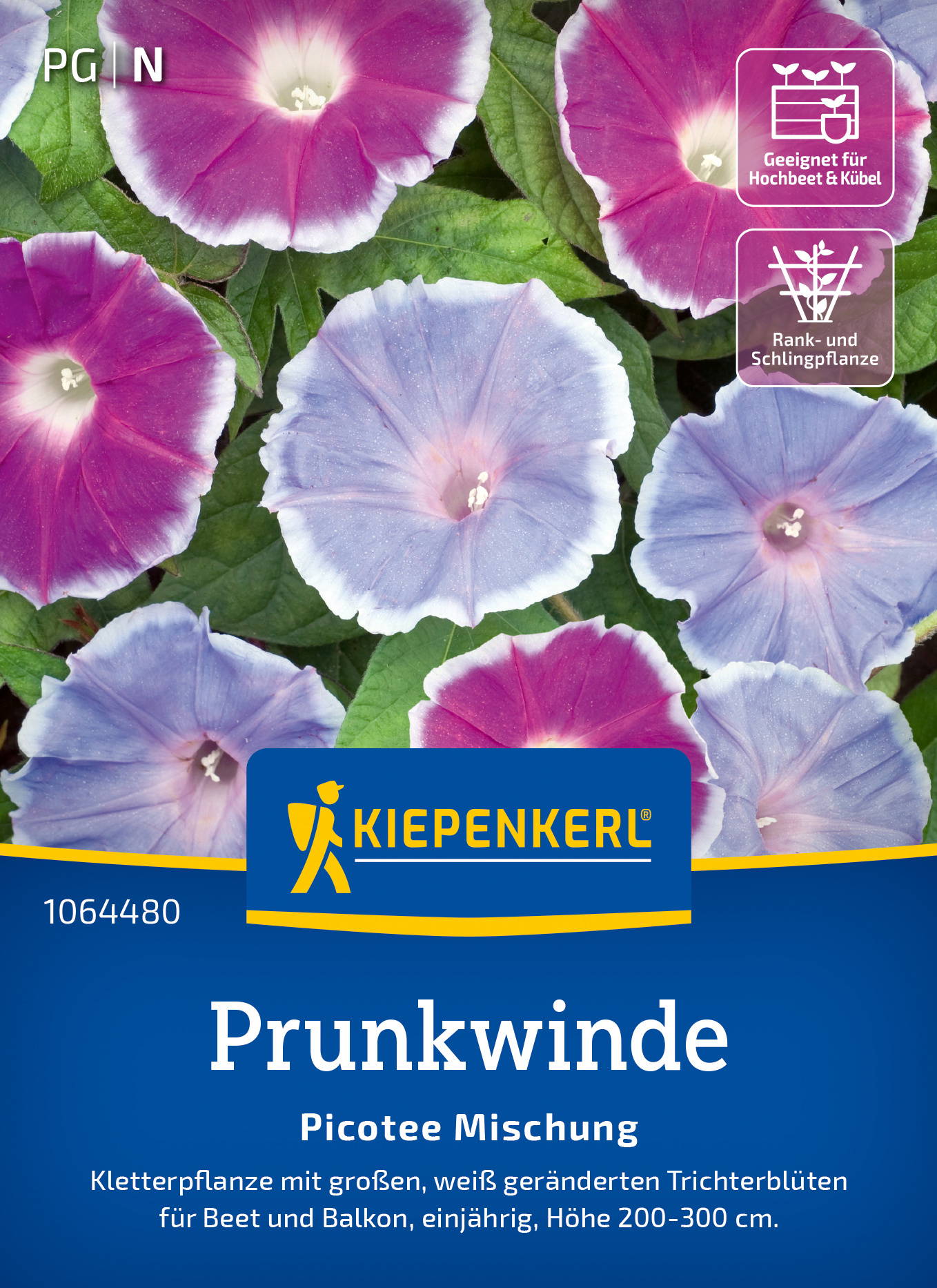 Prunkwindensamen Picotee Mischung