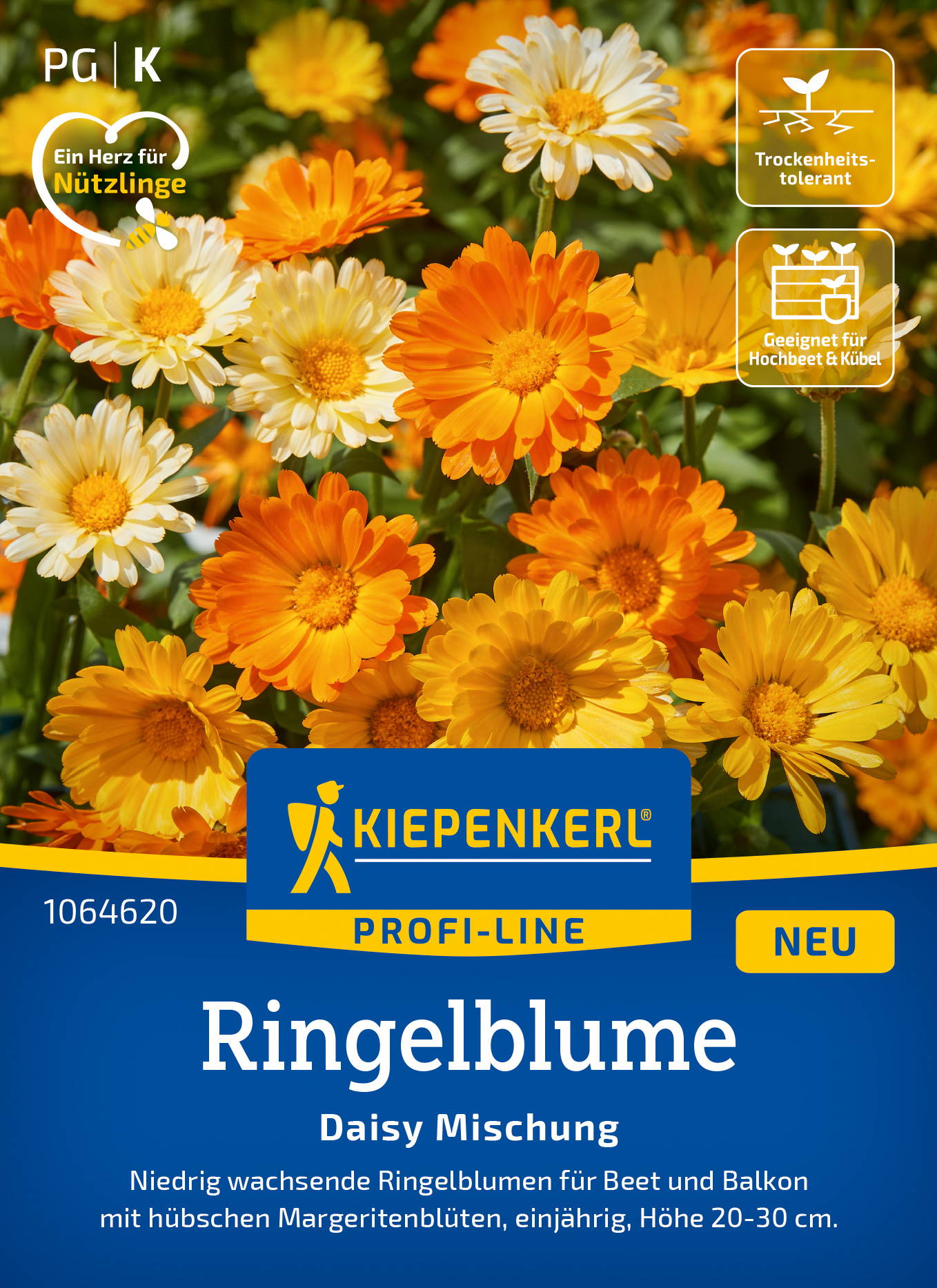 Ringelblumensamen Daisy Mischung