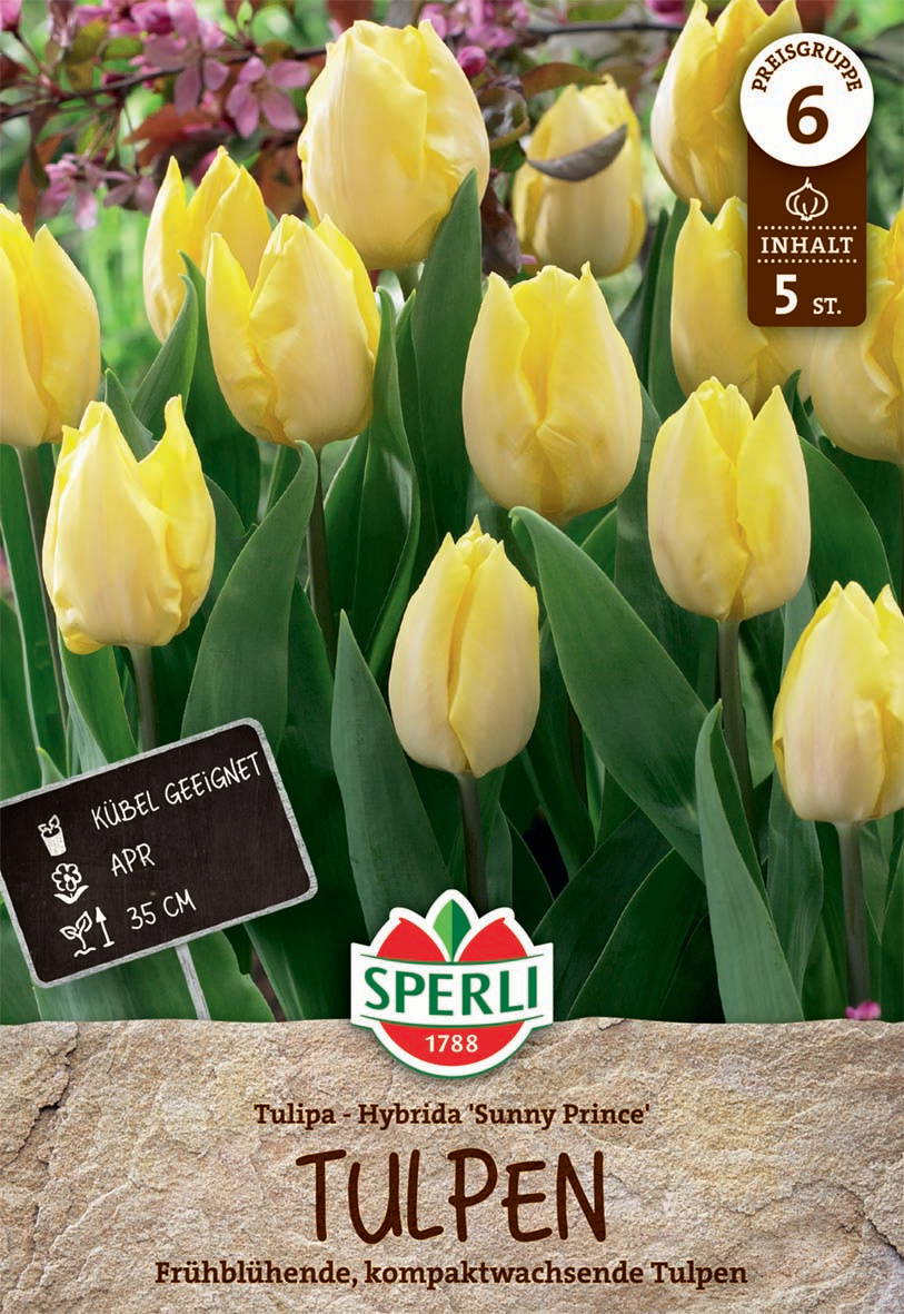 Gelbe Tulpen mit grünen Blättern, im Hintergrund pinke Blumen, Verpackung mit Logo und Produktinformationen.