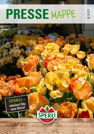 Pressemappe mit Bild und Beschreibung von bunten Tulpen auf einem Blumenstand