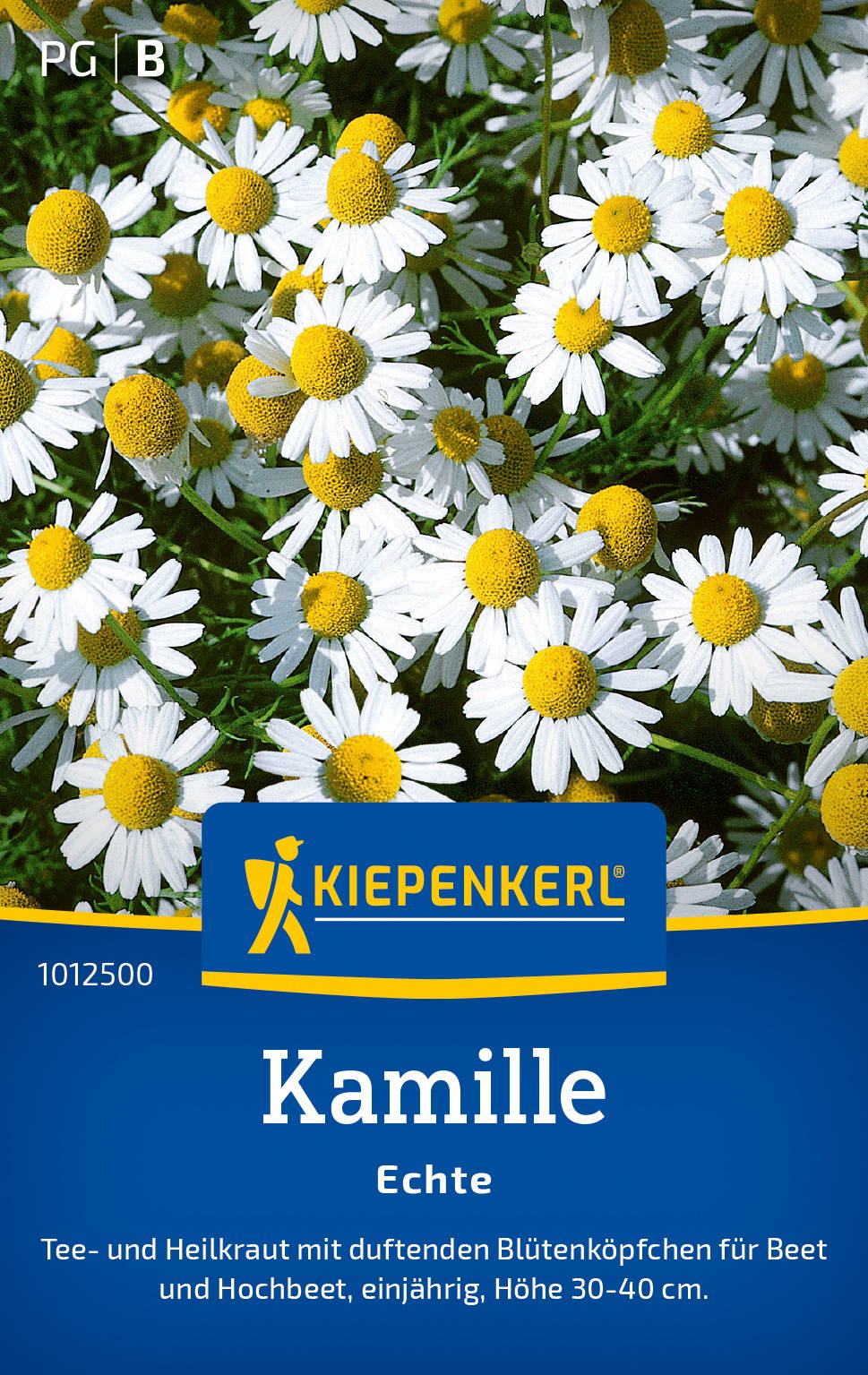 Kamille Blumen, weiß mit gelben Köpfen, auf Verpackung abgebildet.