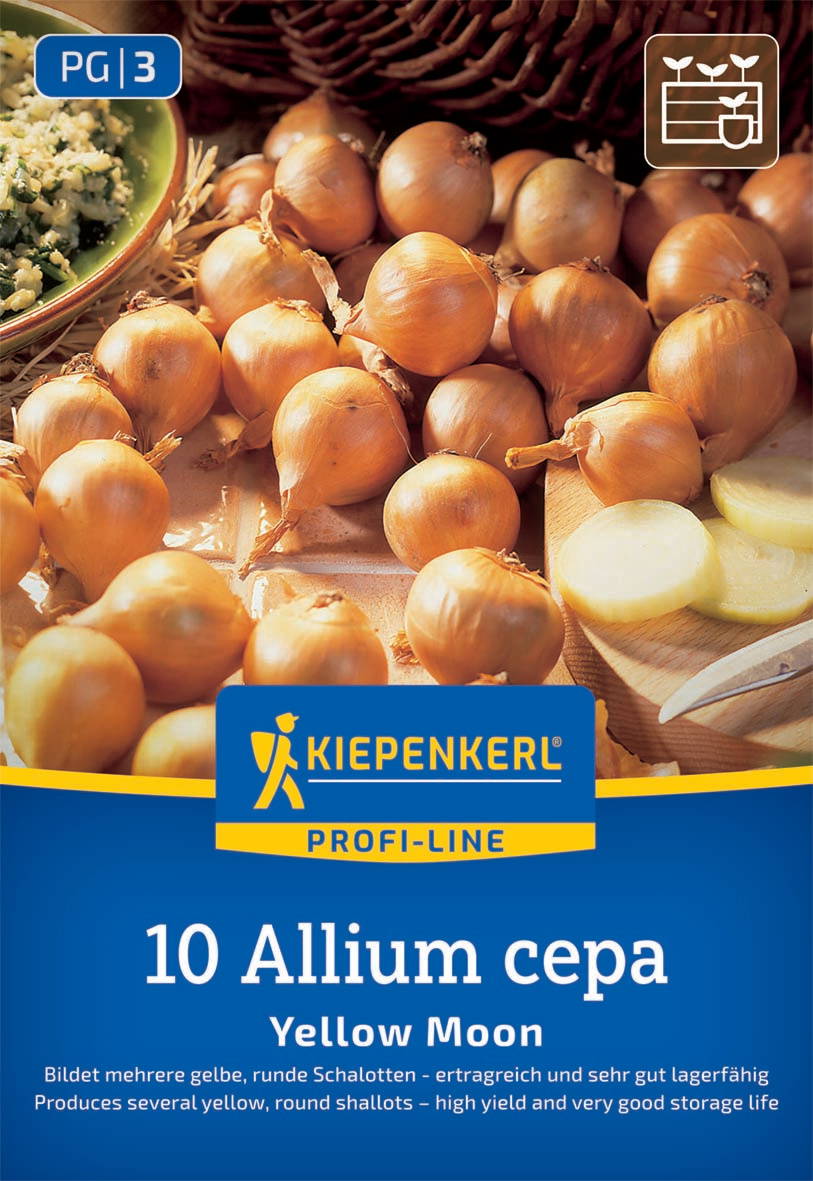 Haufen gelber, runder Zwiebelknollen neben einer gekochten Zwiebel und einem Messer.