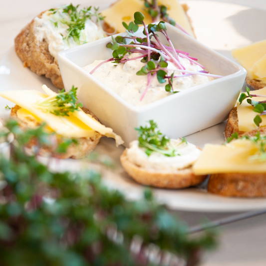 Mini Brotstücke mit Käse, Kräutern und cremigem Dip, serviert auf einem weißen Teller