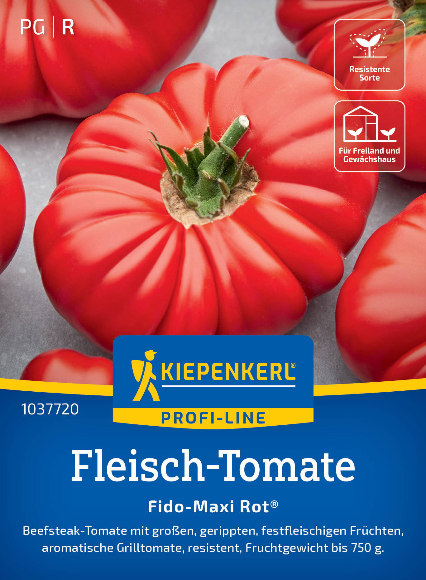 Fleisch-Tomatensamen Fido-Maxi Rot®, F1 