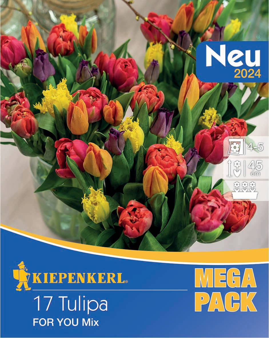 Tulpenmischung For You - MEGA PACK